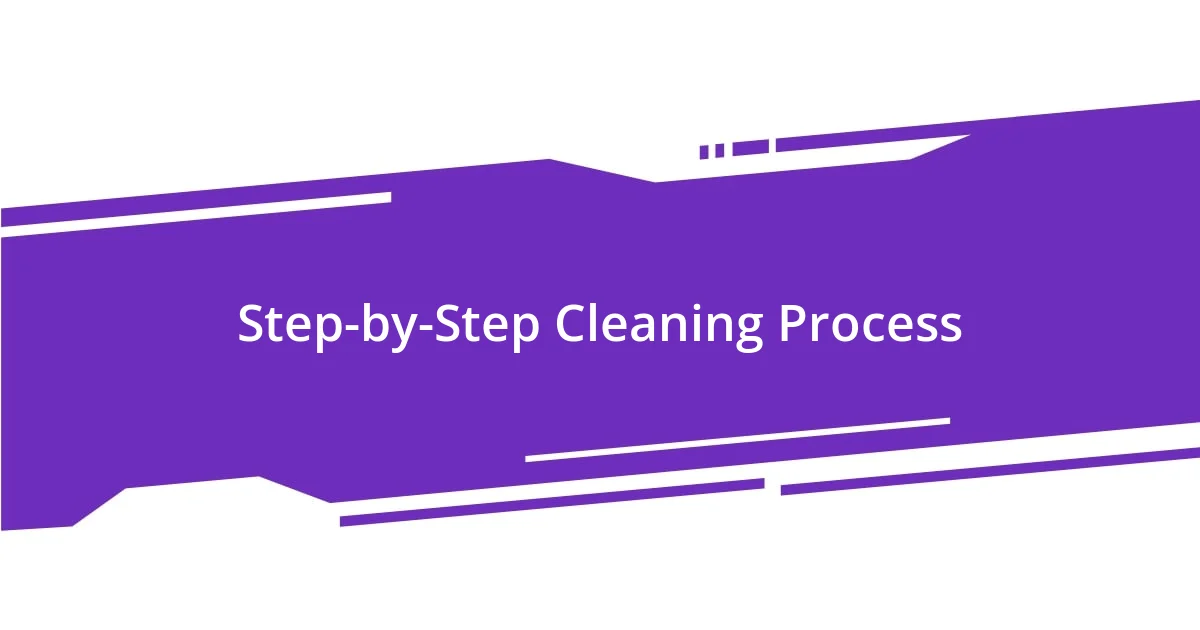 Step-by-Step Cleaning Process